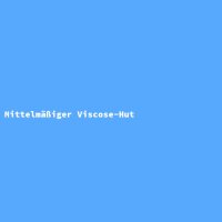 Mittelm&auml;&szlig;iger Viscose-Hut