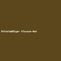 Mittelm&auml;&szlig;iger Viscose-Hut